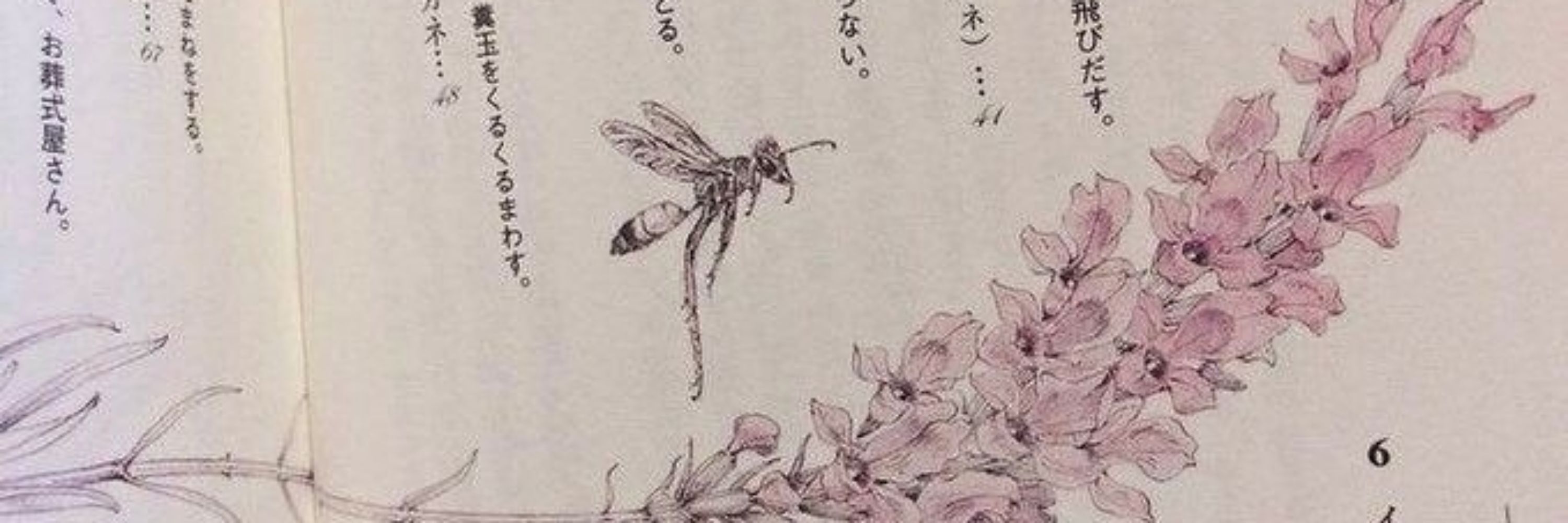 Faerie_Soup