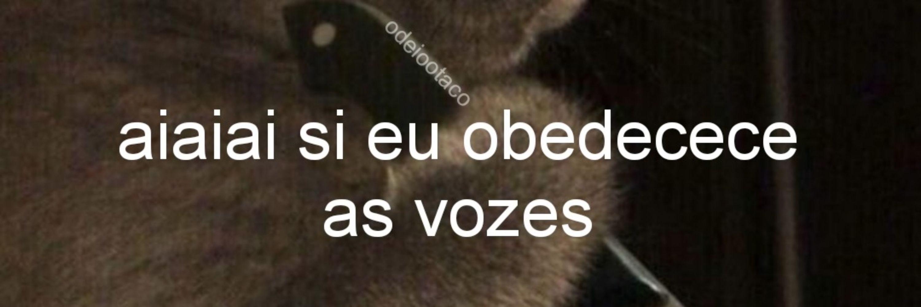 Livs