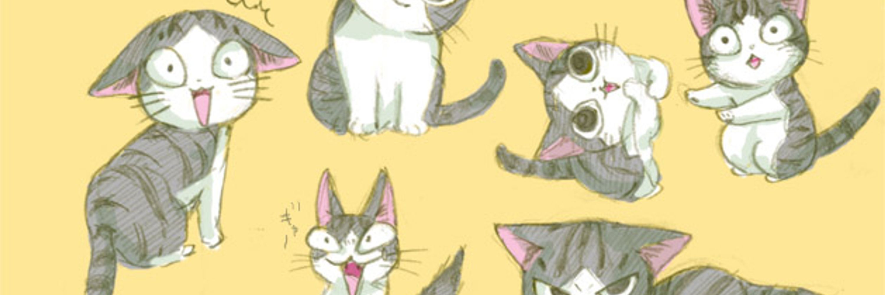 StrayLilCat