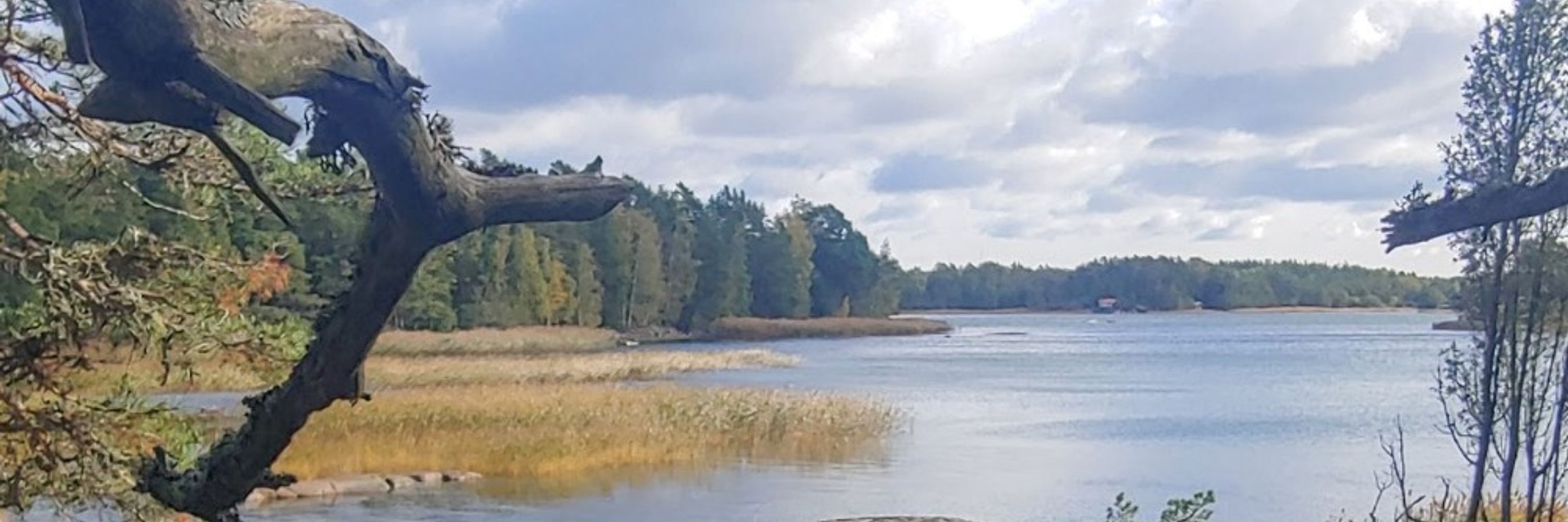 Tuukka Mård