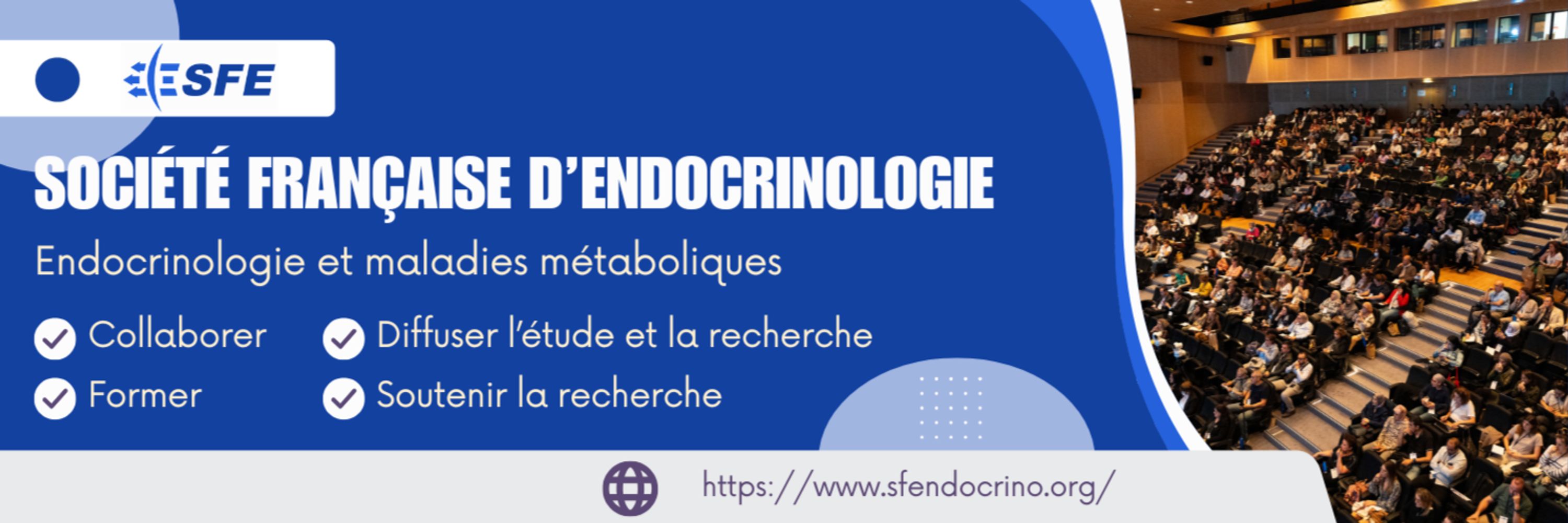 Société Française d'Endocrinologie