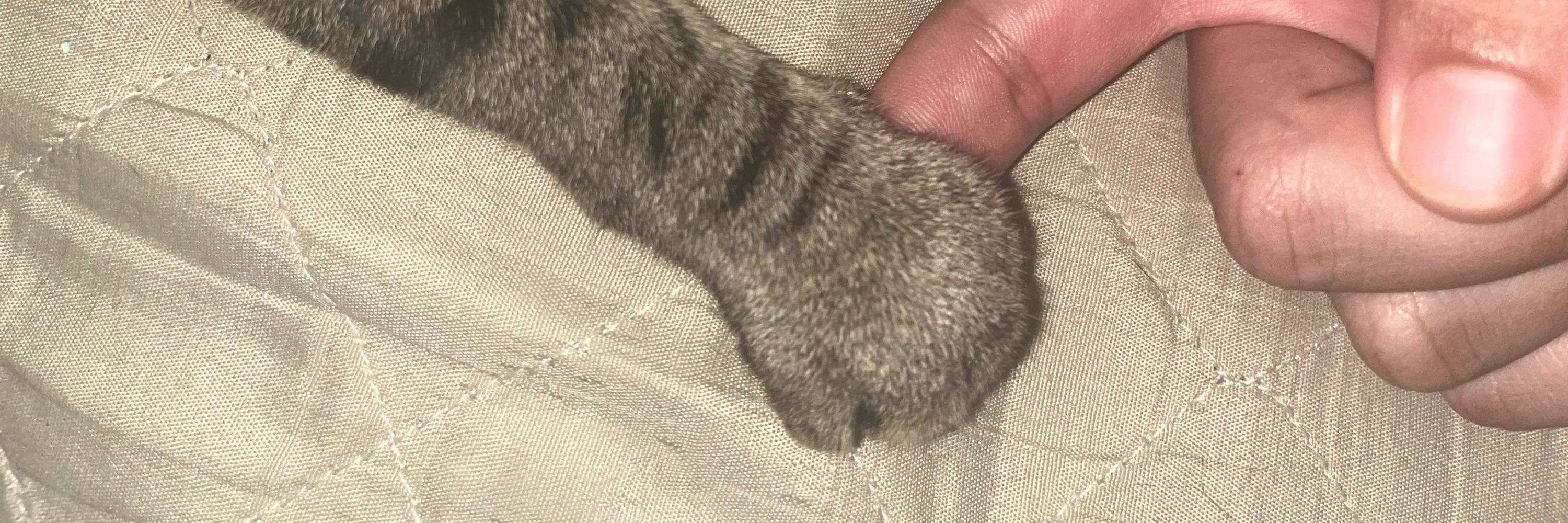 Rhur