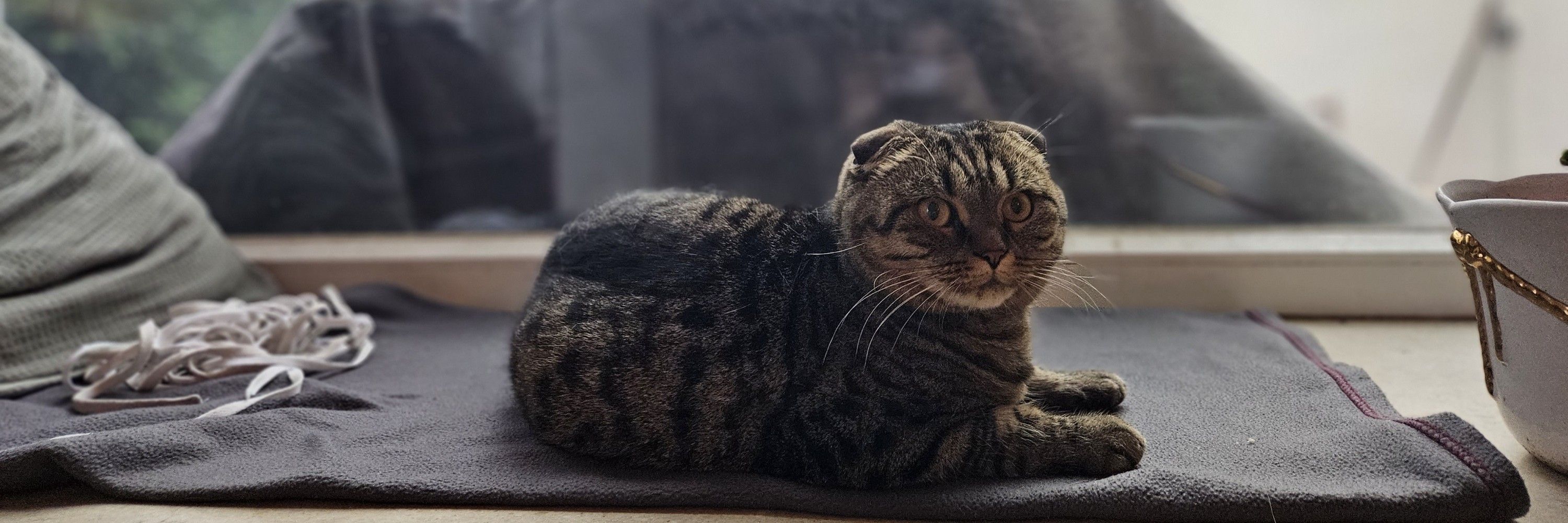 AnnaMussBAFertigMachen