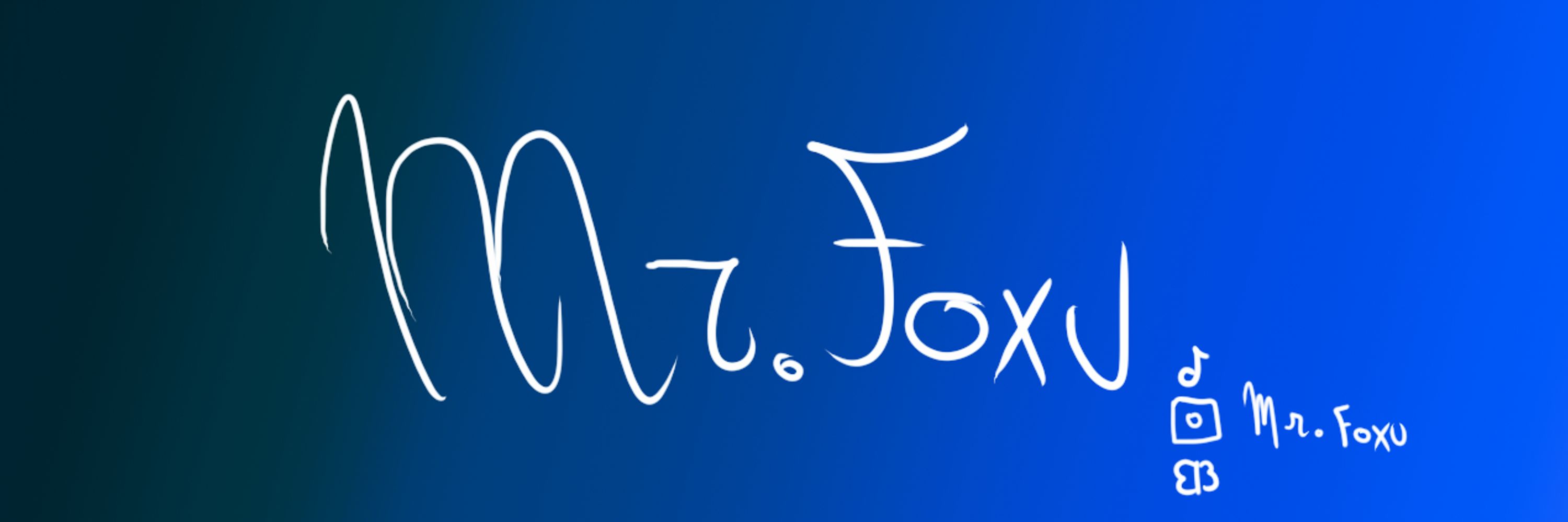 Mr.Foxu
