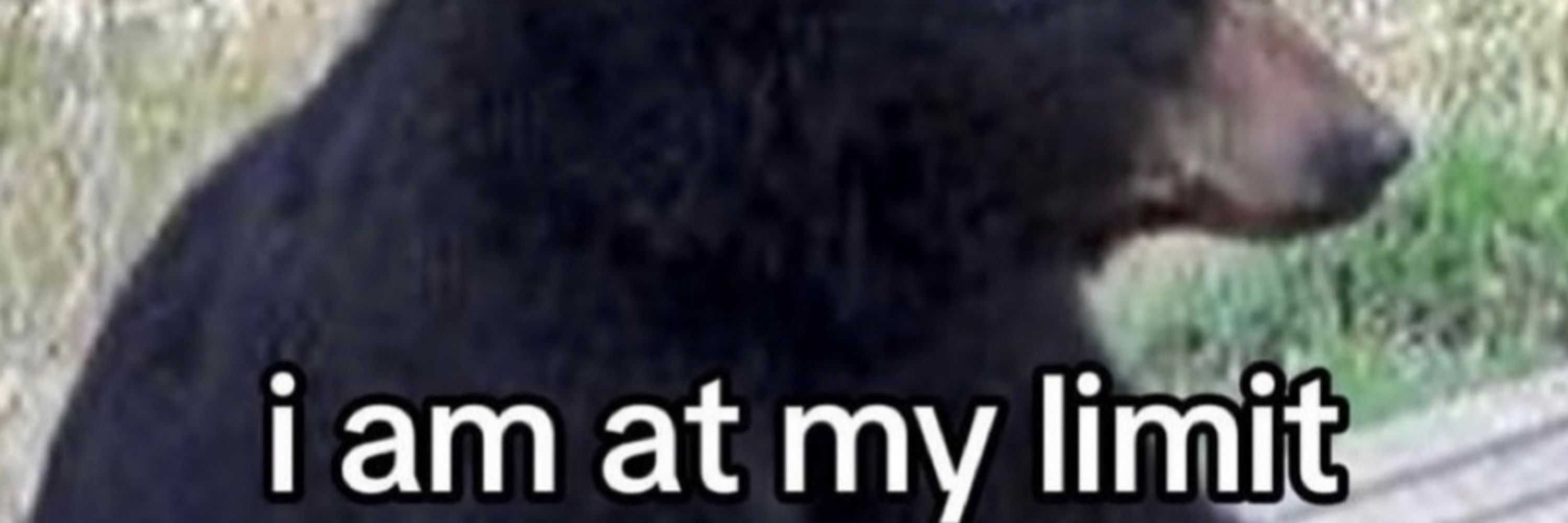 him