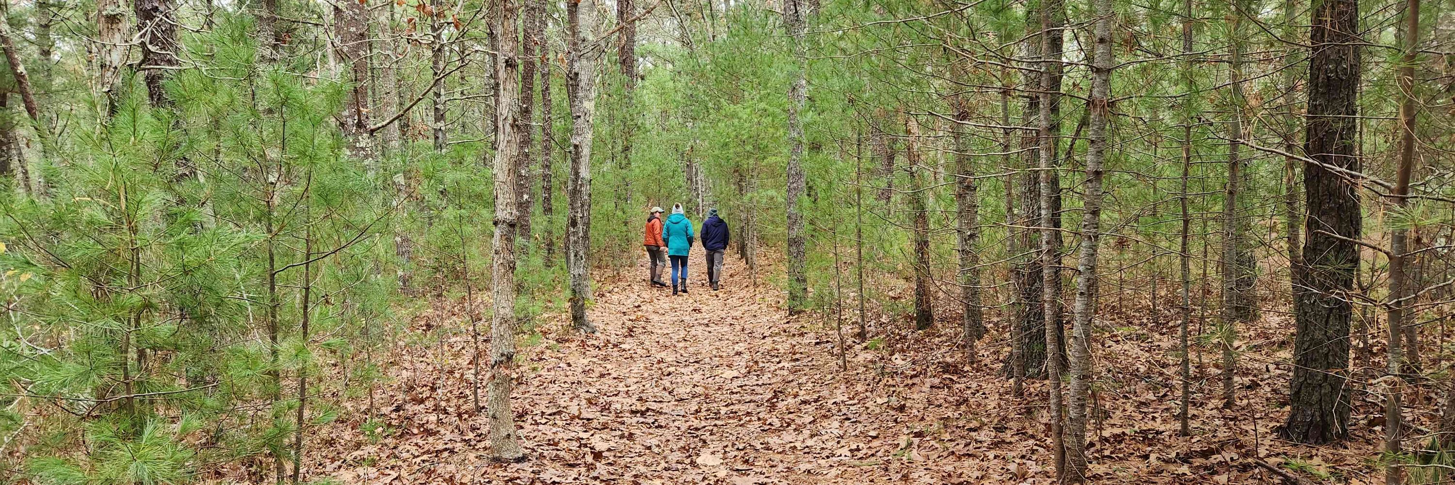 Barnstable Land Trust
