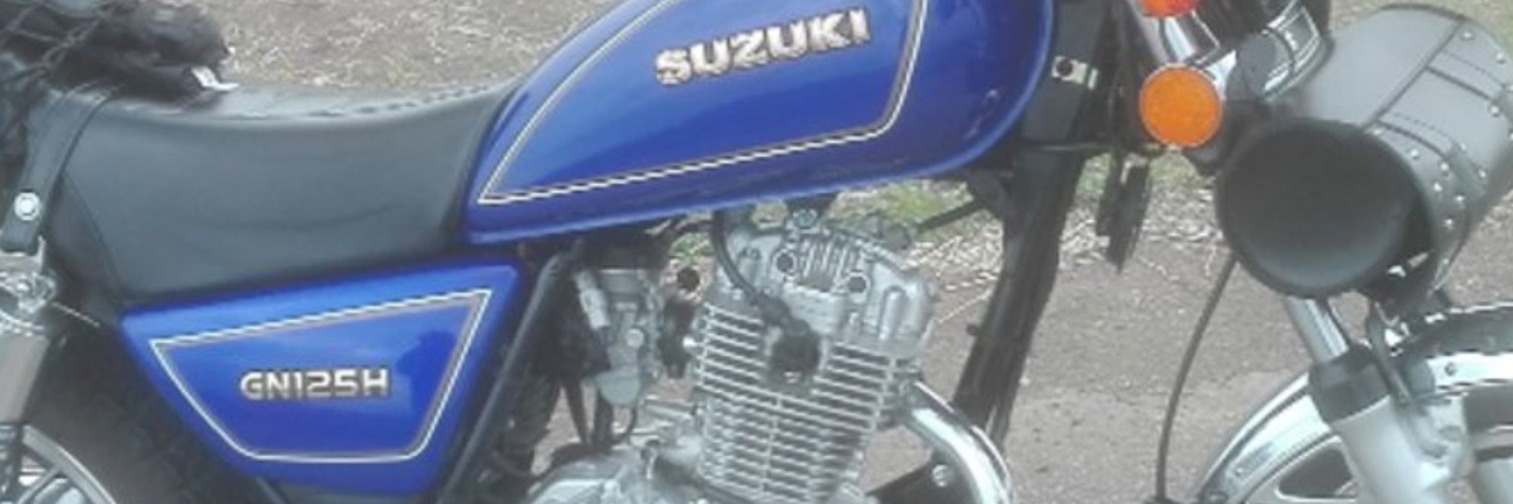 sio29