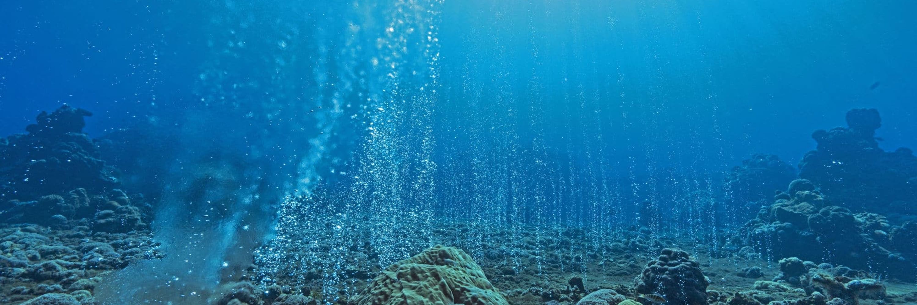 Association for the Sciences of Limnology and Oceanography