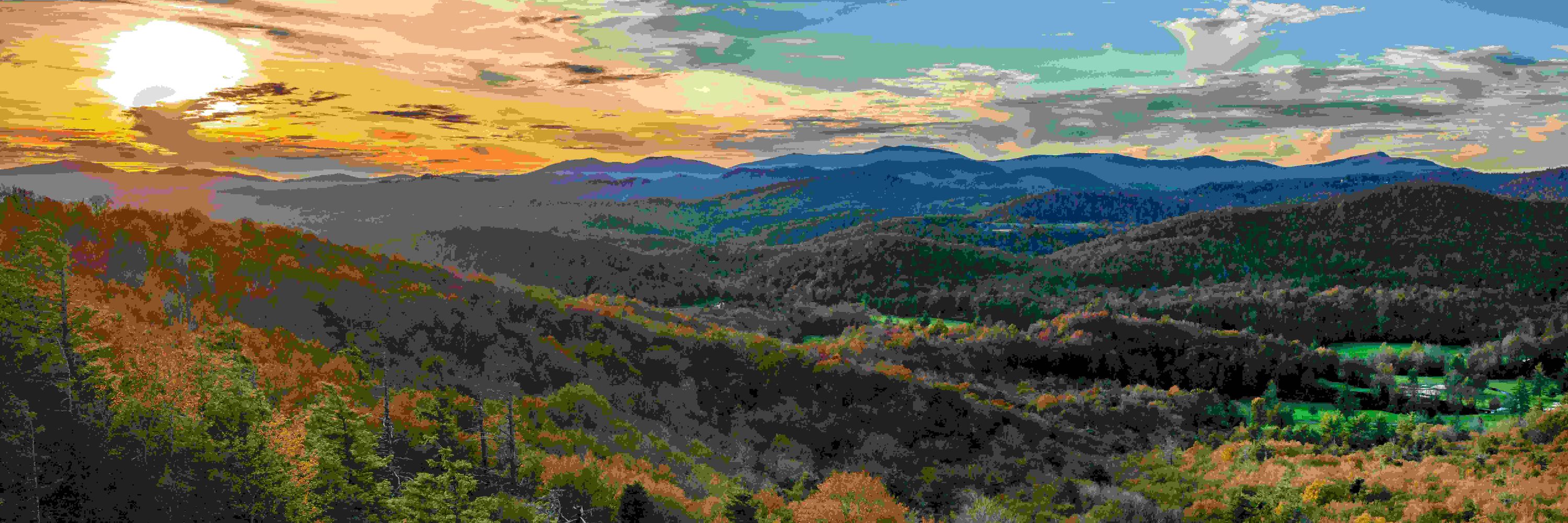 NC Conservation Network