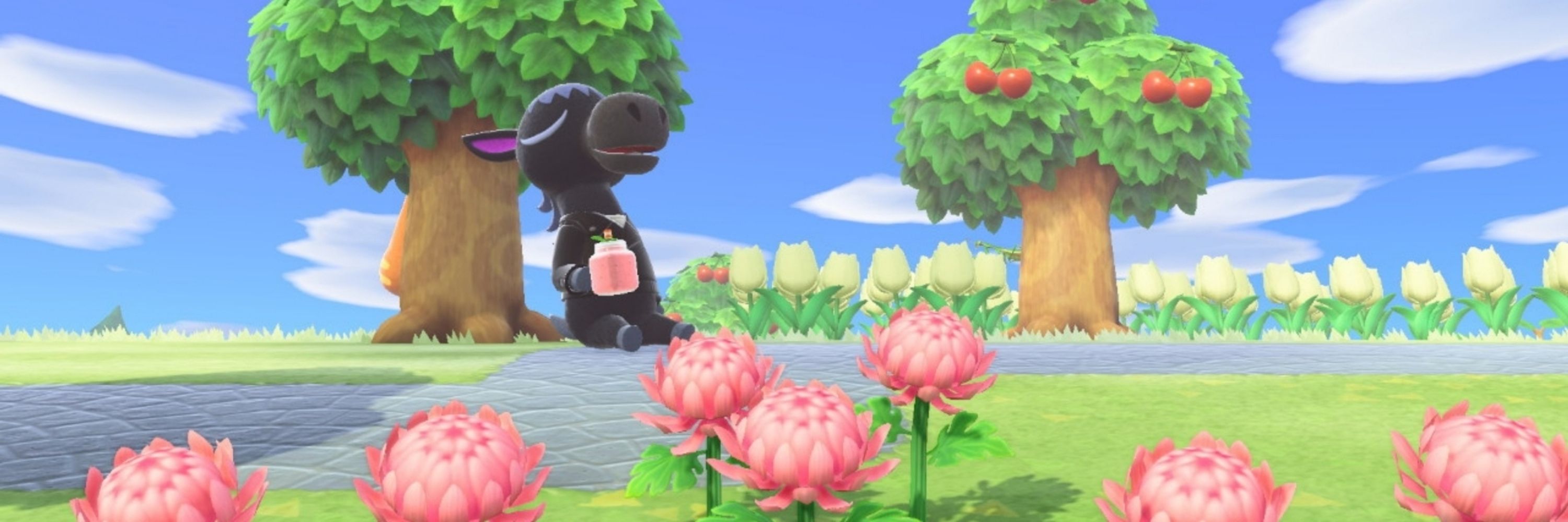 Dan ♡