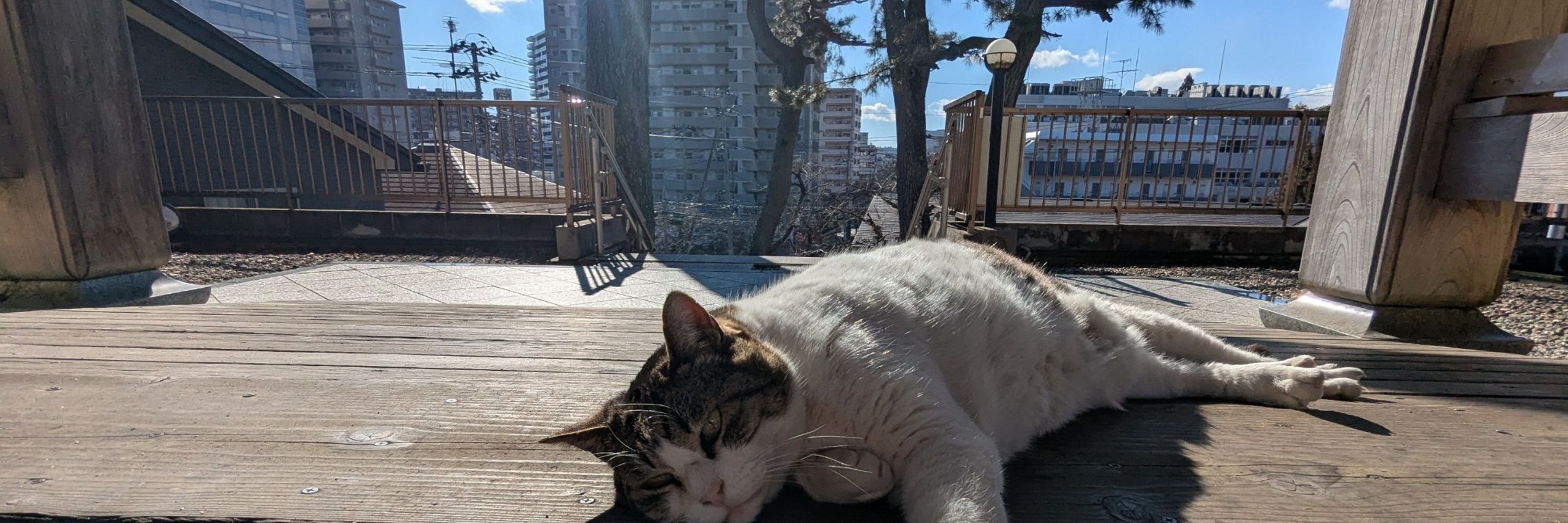 Ruben