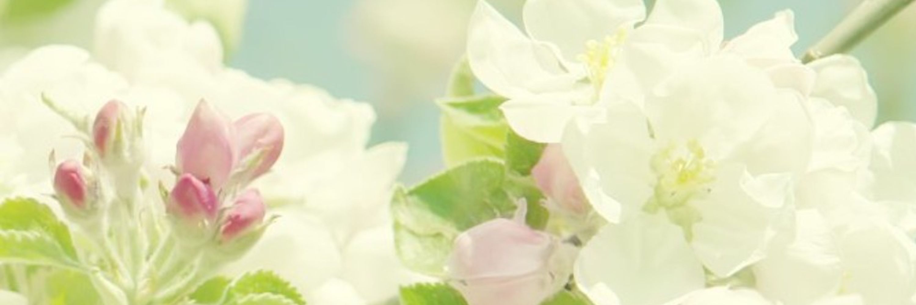 🌷코코🌷