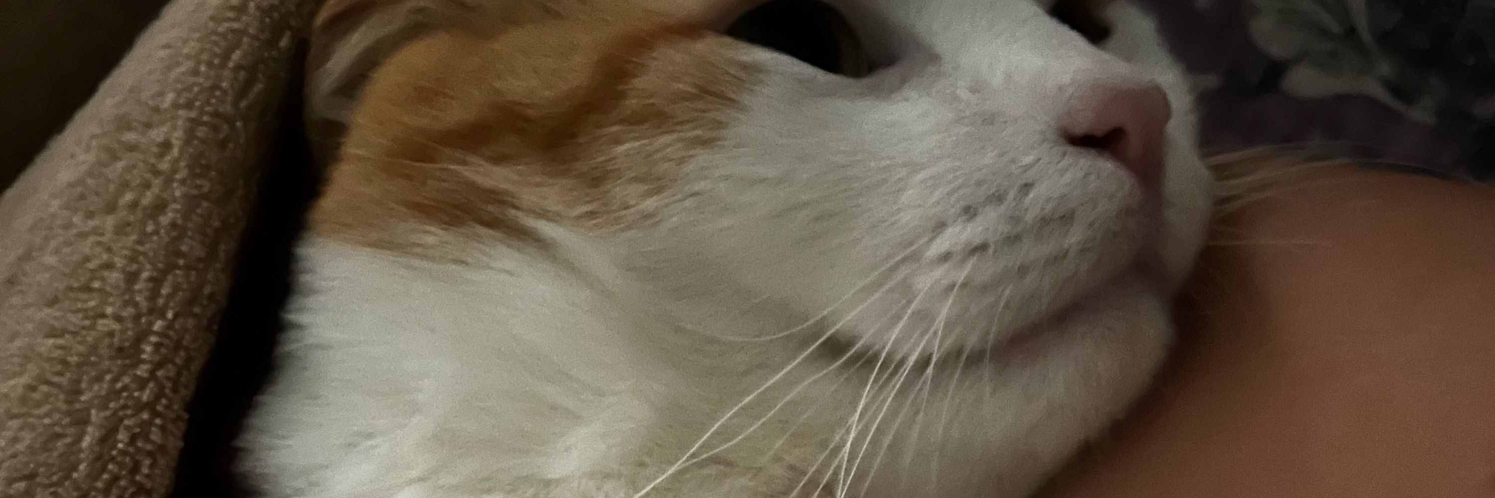 Maluuuu