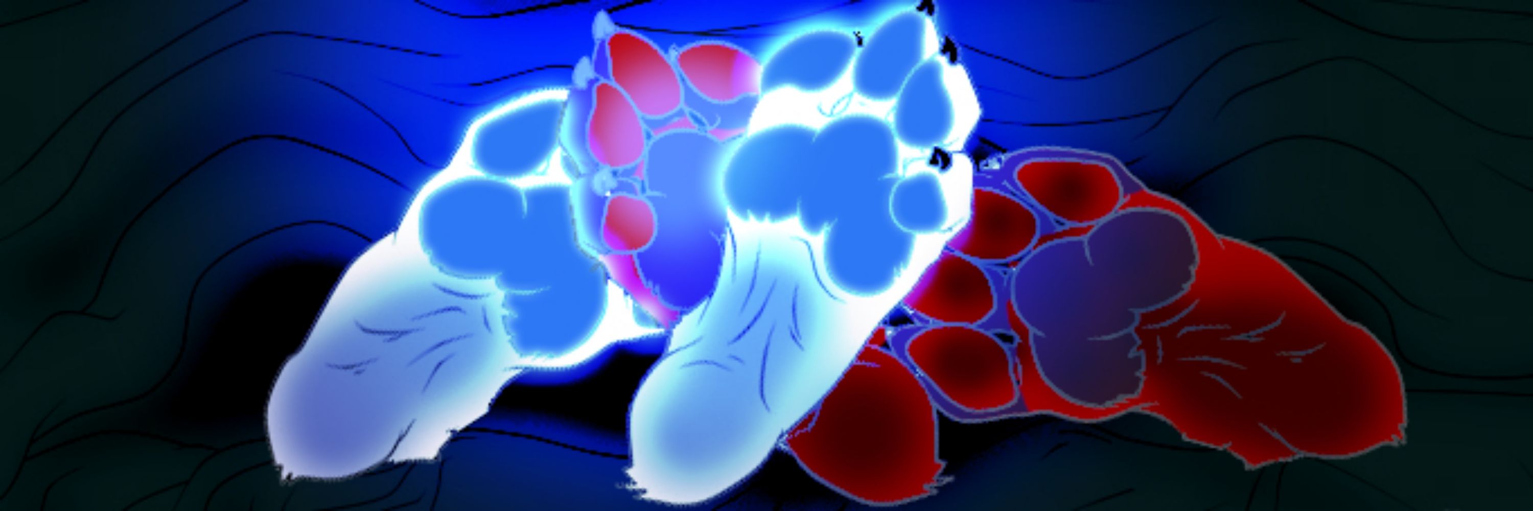 💙🐾𝕮𝖍𝖎𝖕𝖕𝕿𝖍𝖊𝕱𝖔𝖝🐾💙