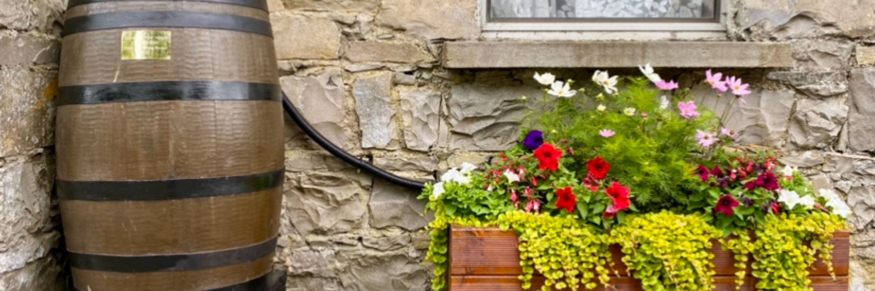 Geashill Tidy Towns