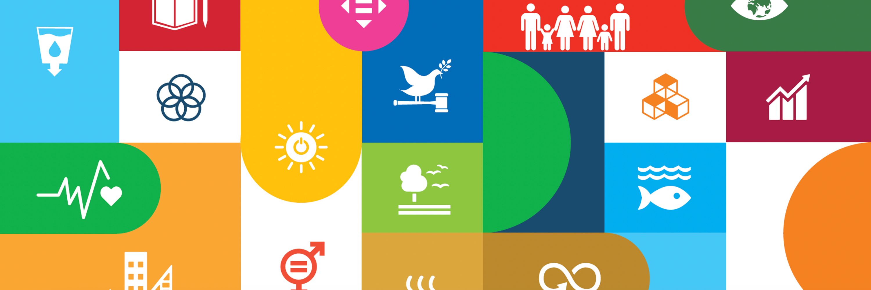 United Nations Joint SDG Fund