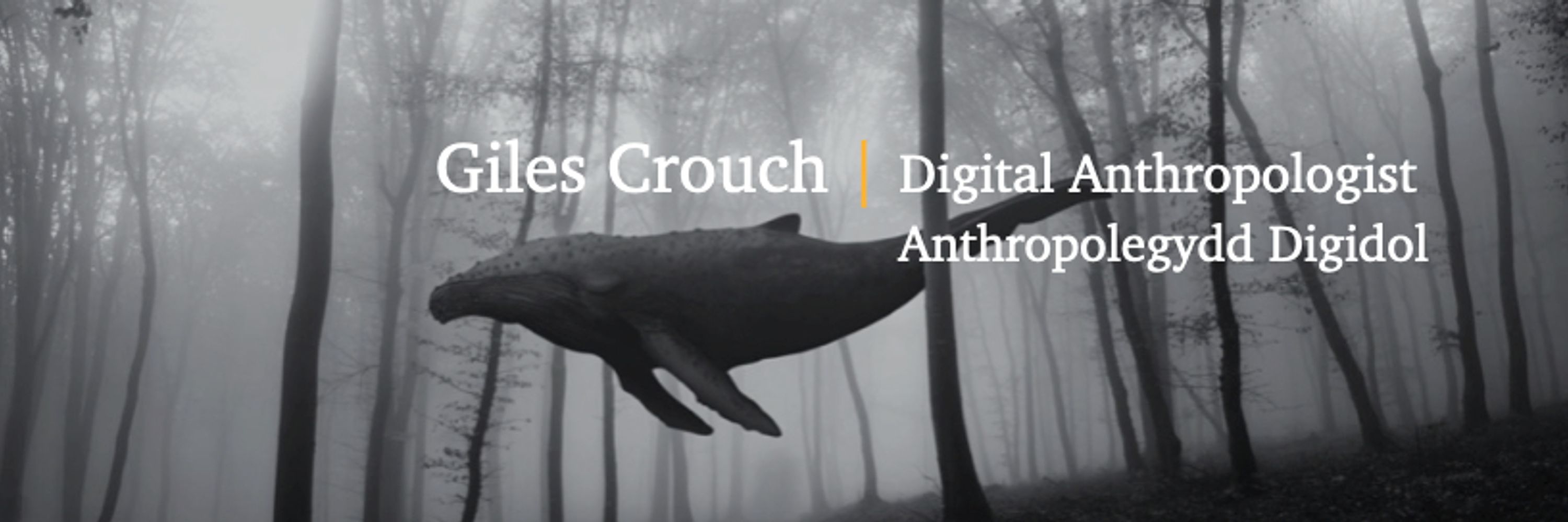 Giles Crouch, PhD-c