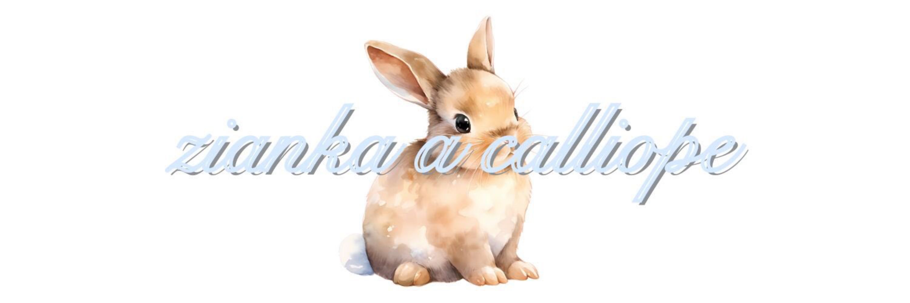 𝑍ianka
