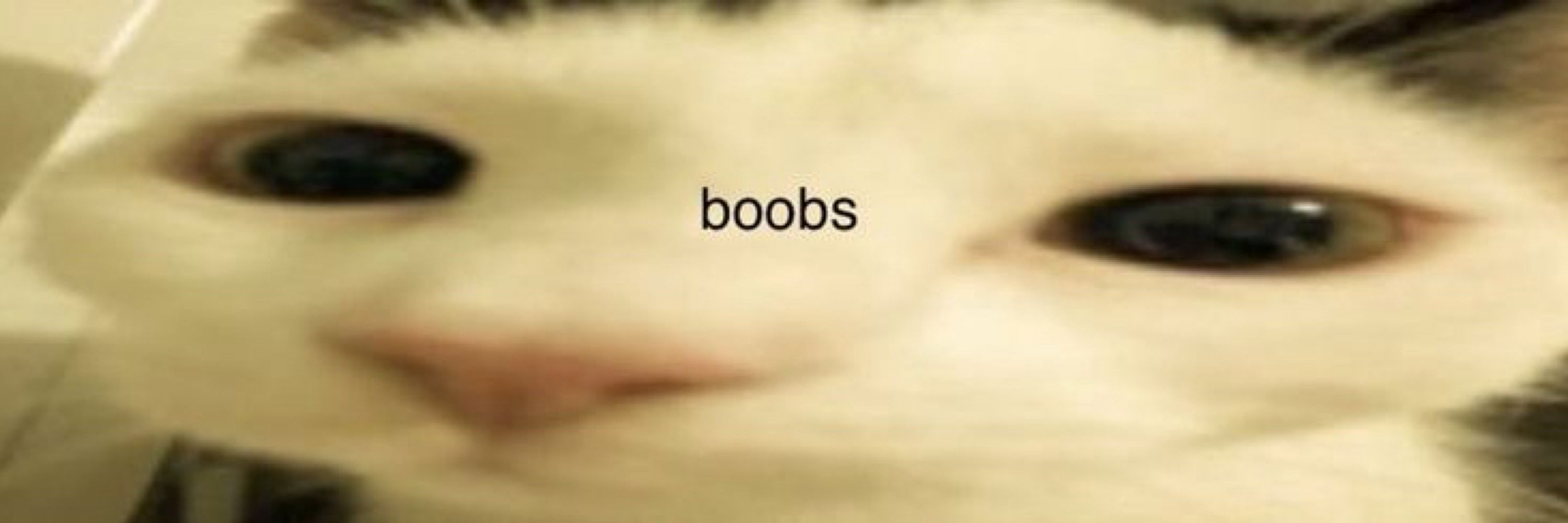 cecíli a 🫧