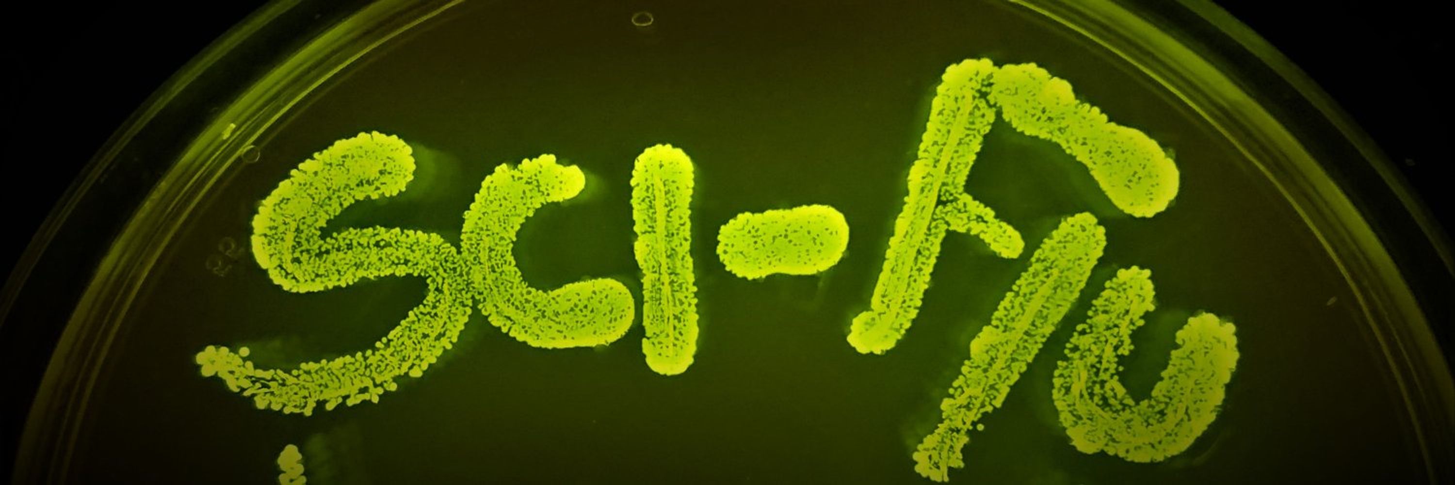 Sci-Flu