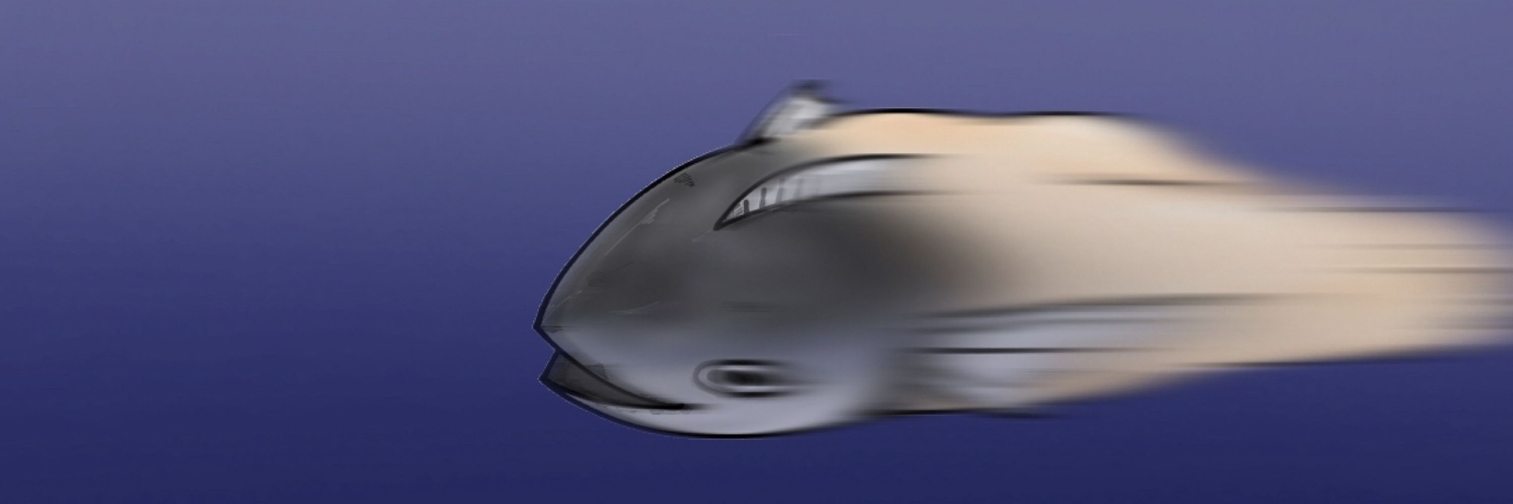 人魚の残りカス