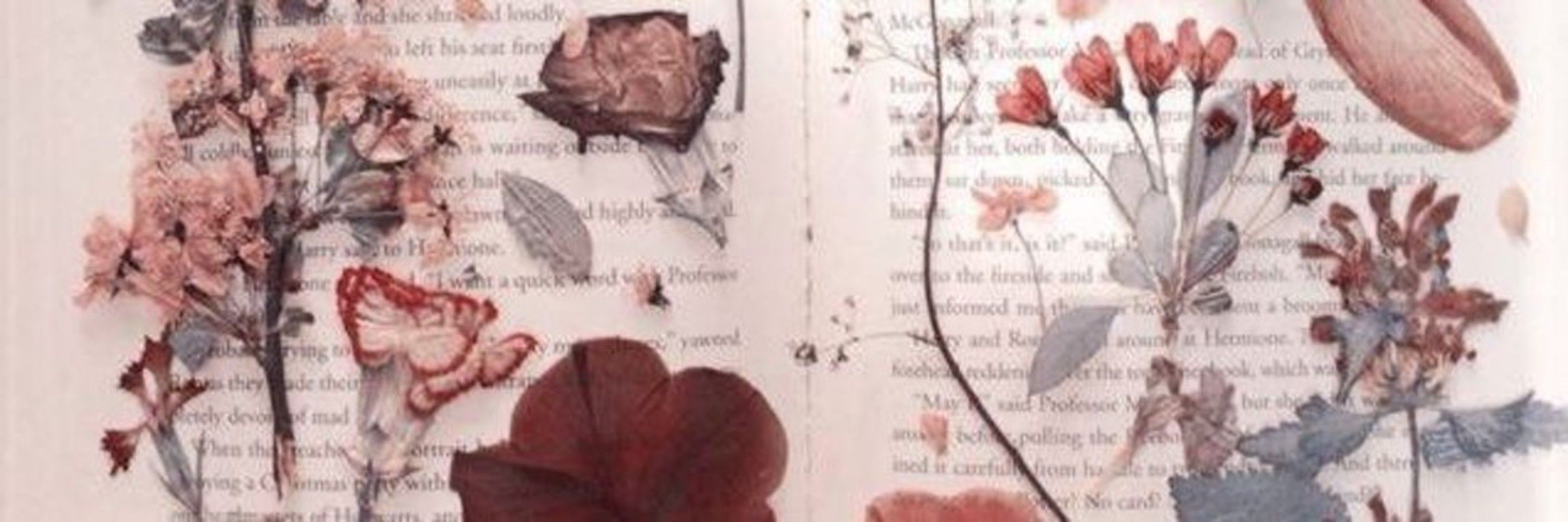 carmen ☠️ | 📖: palavras de radiância