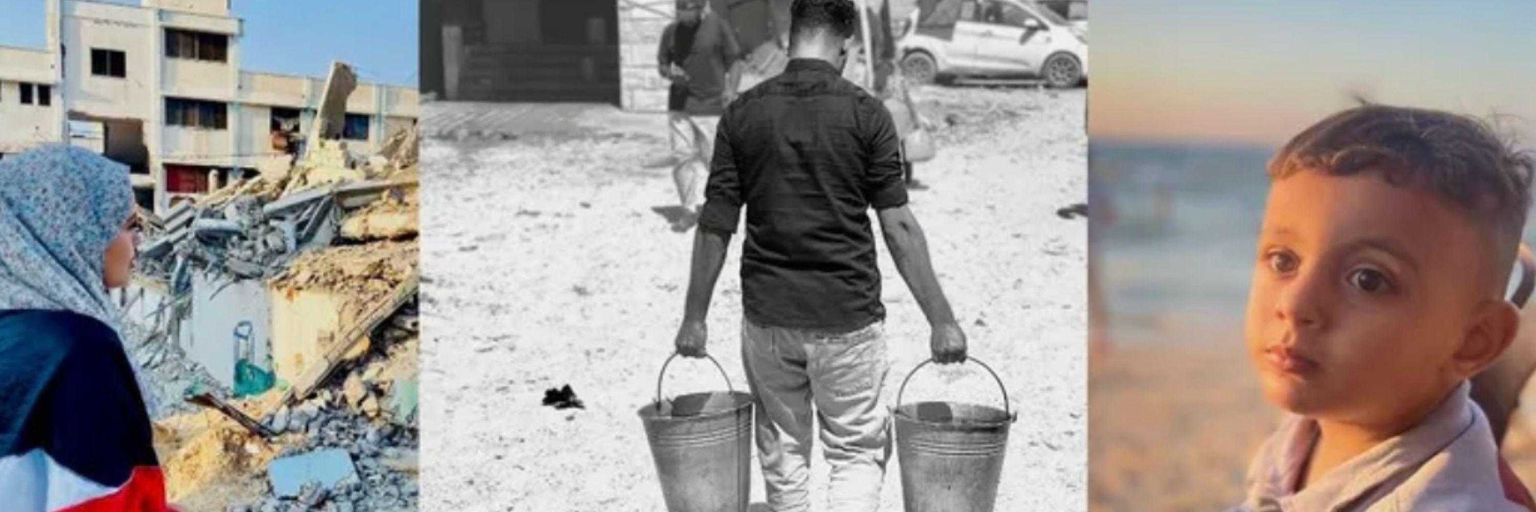Mohammed _ Sokkar 🇵🇸🫂