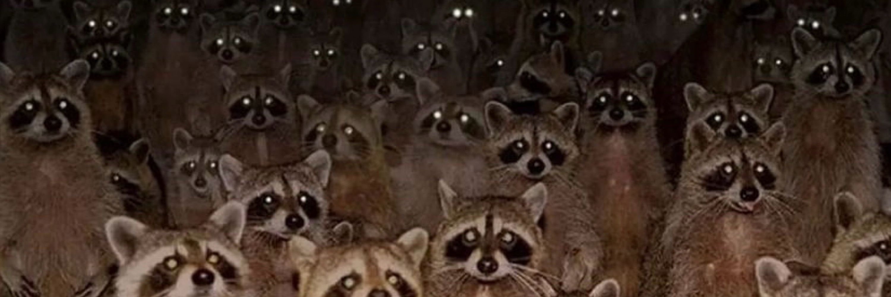 Hannah Nelson🦝