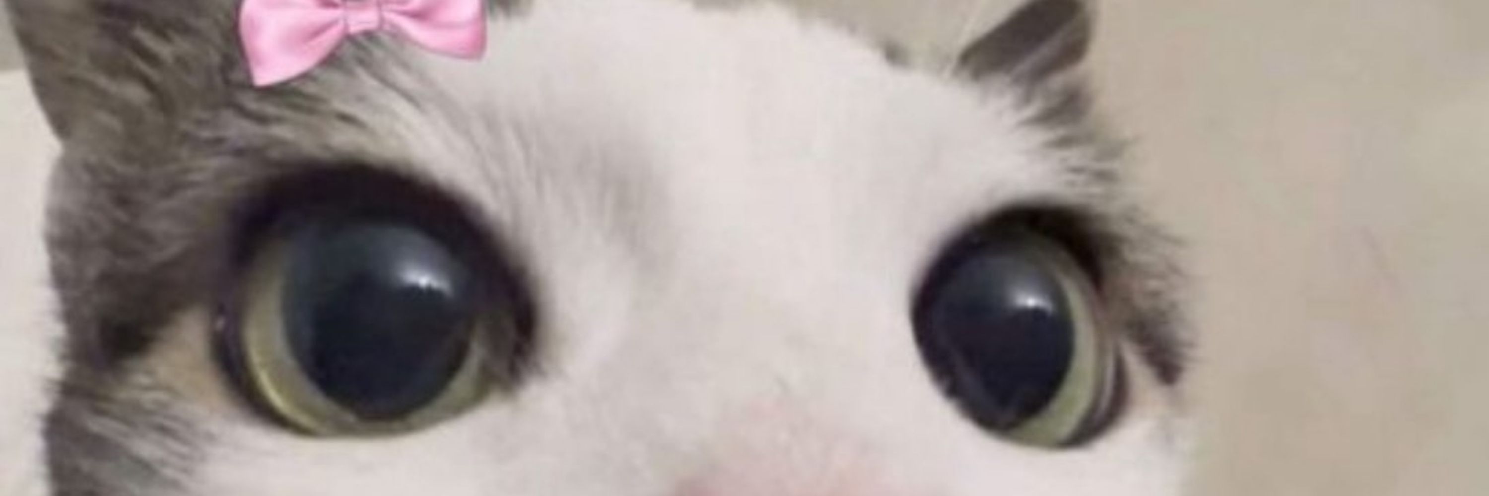 sah
