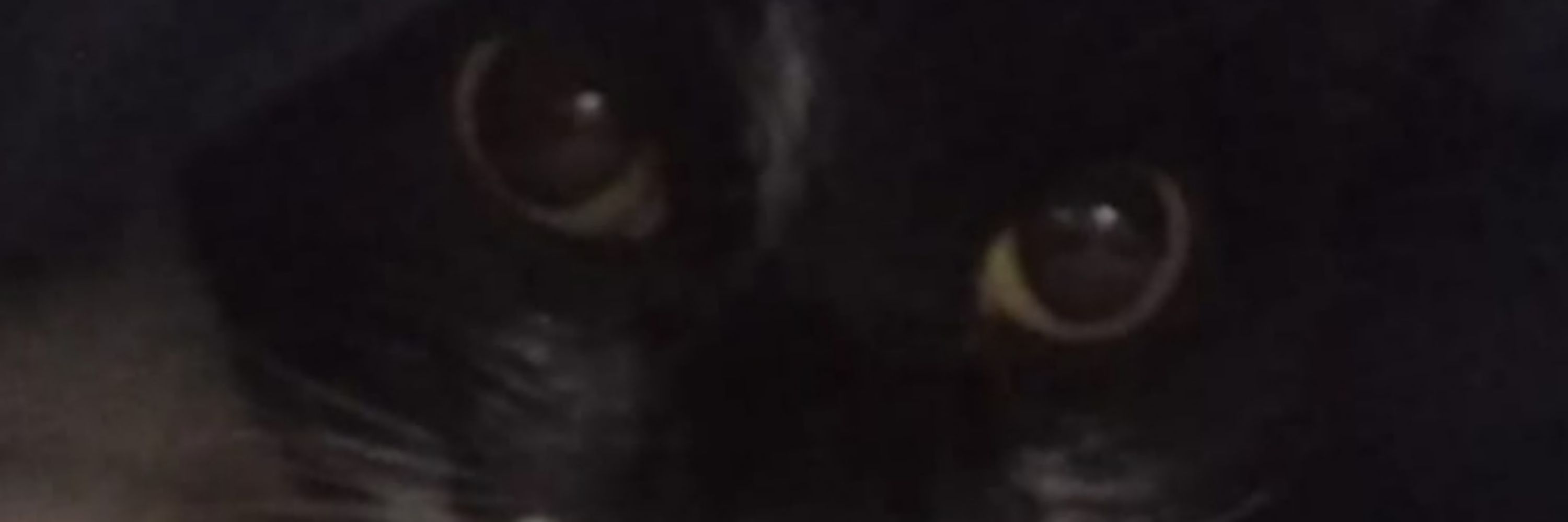 Emy