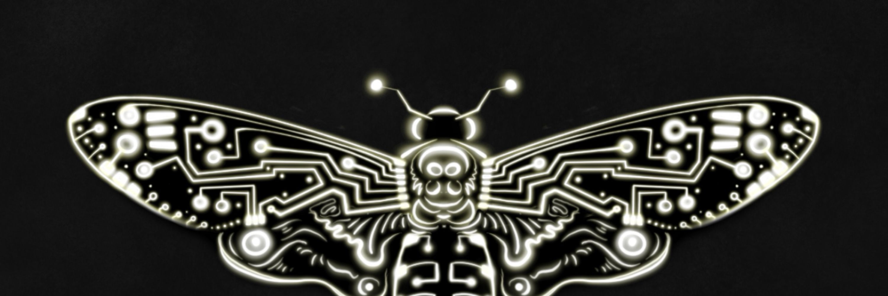 Max Sahin 🧠🤖