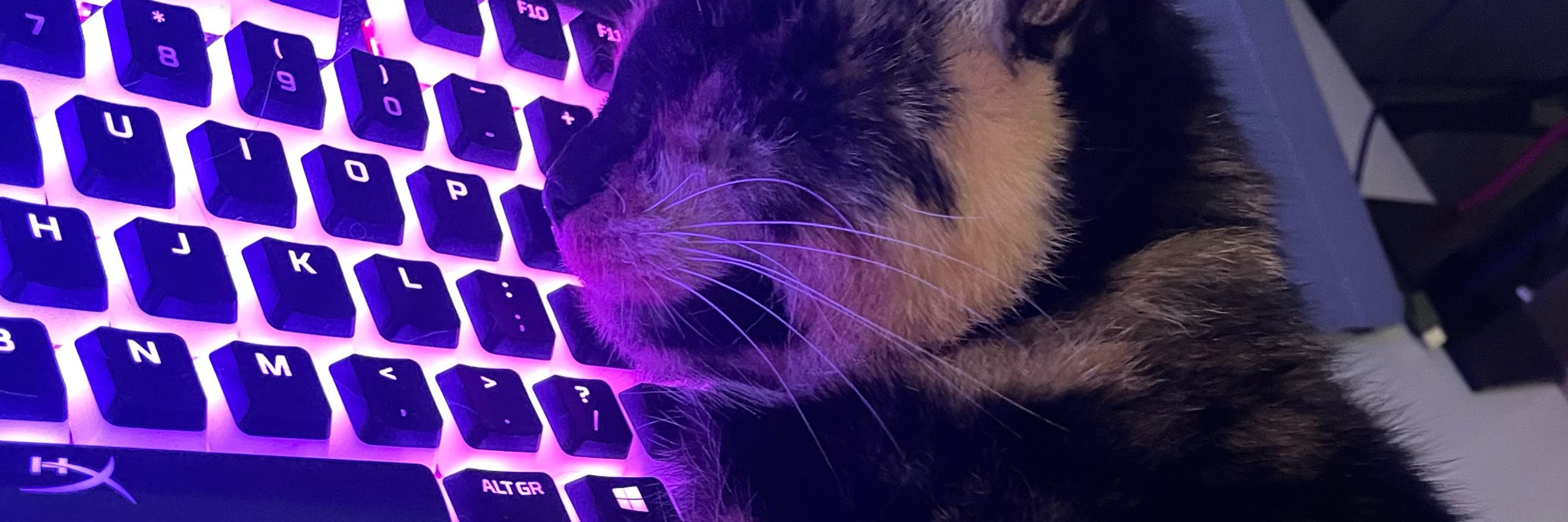 Dark Moiple