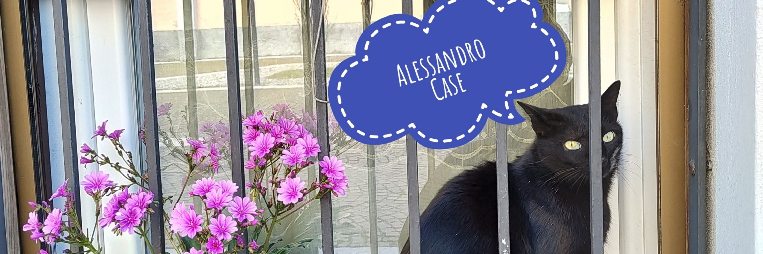 Alessandro Case