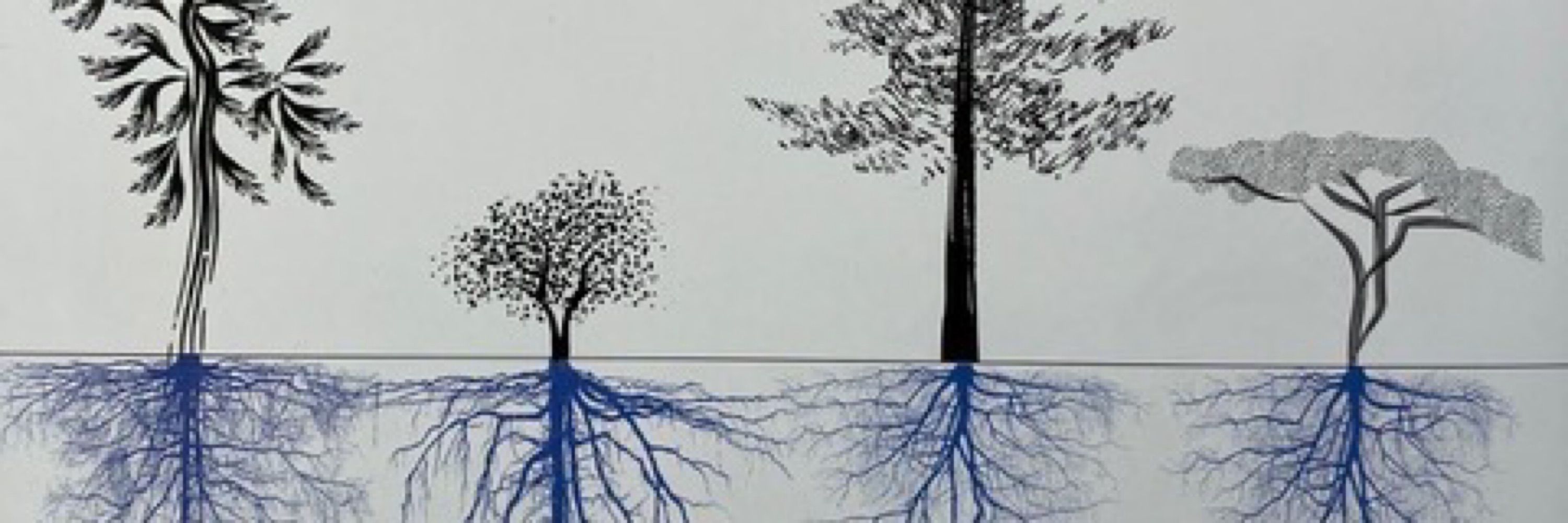 Patricia de Groot
