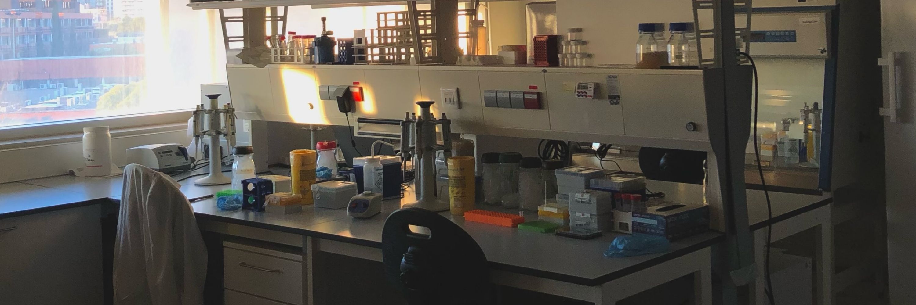 Alejandro Requena-Menéndez | Biotecnología y Divulgación