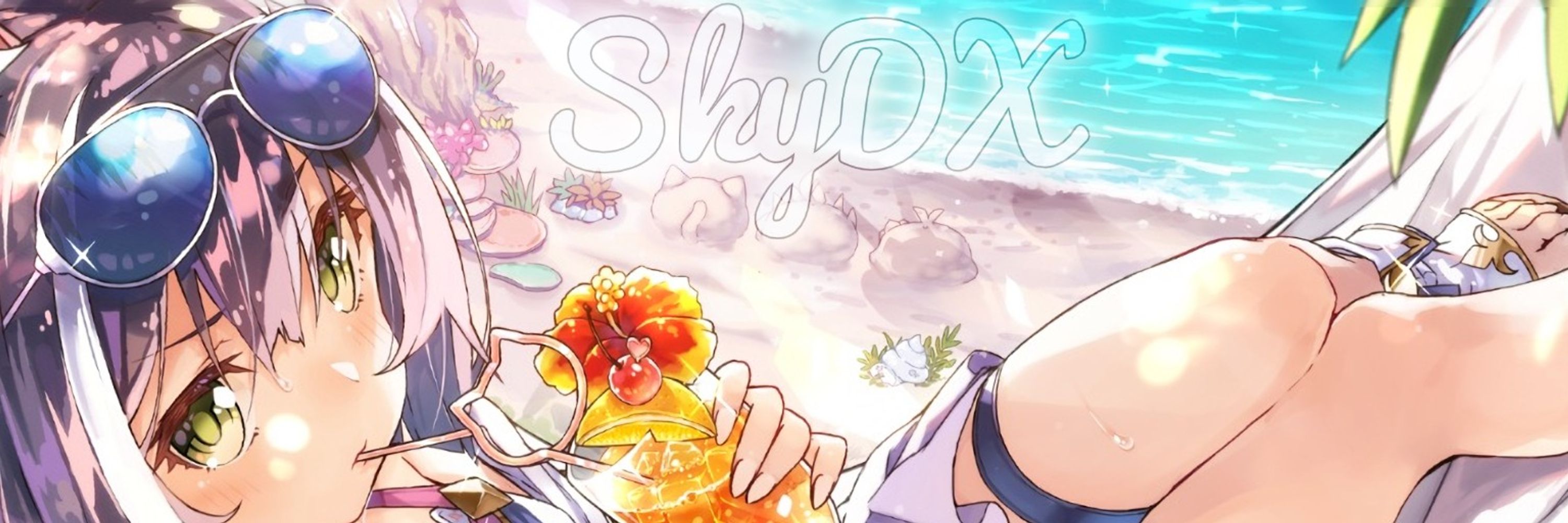 SkyDX