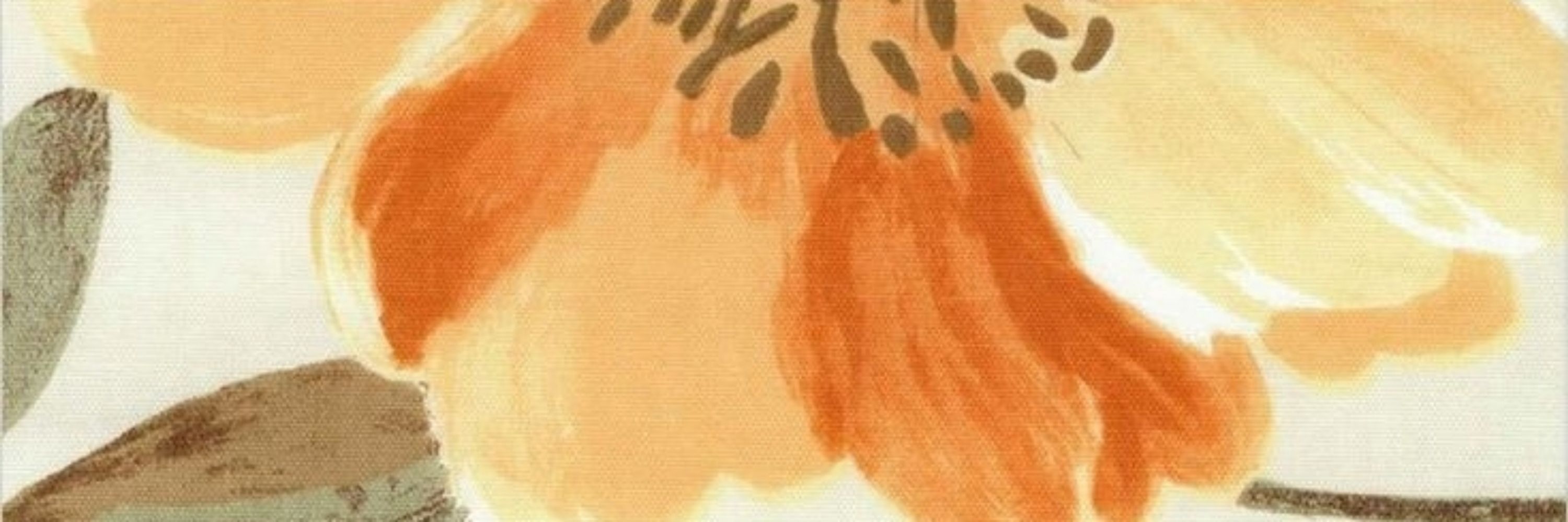rinasuku
