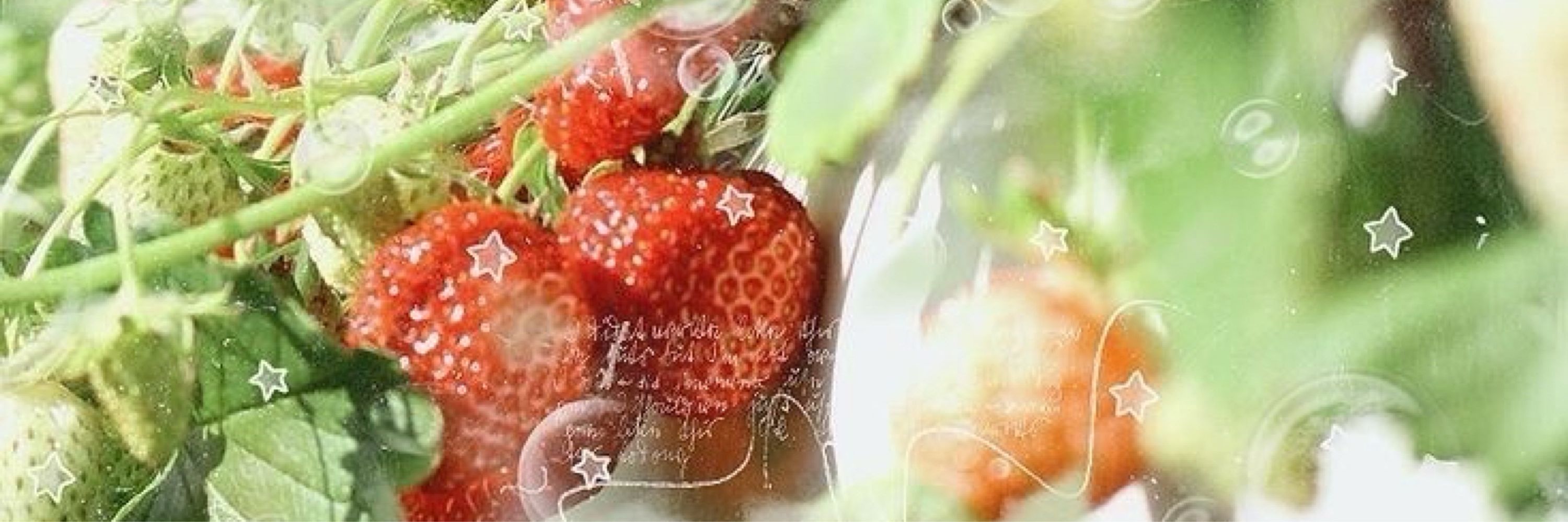 Ainsley ☘️🍓