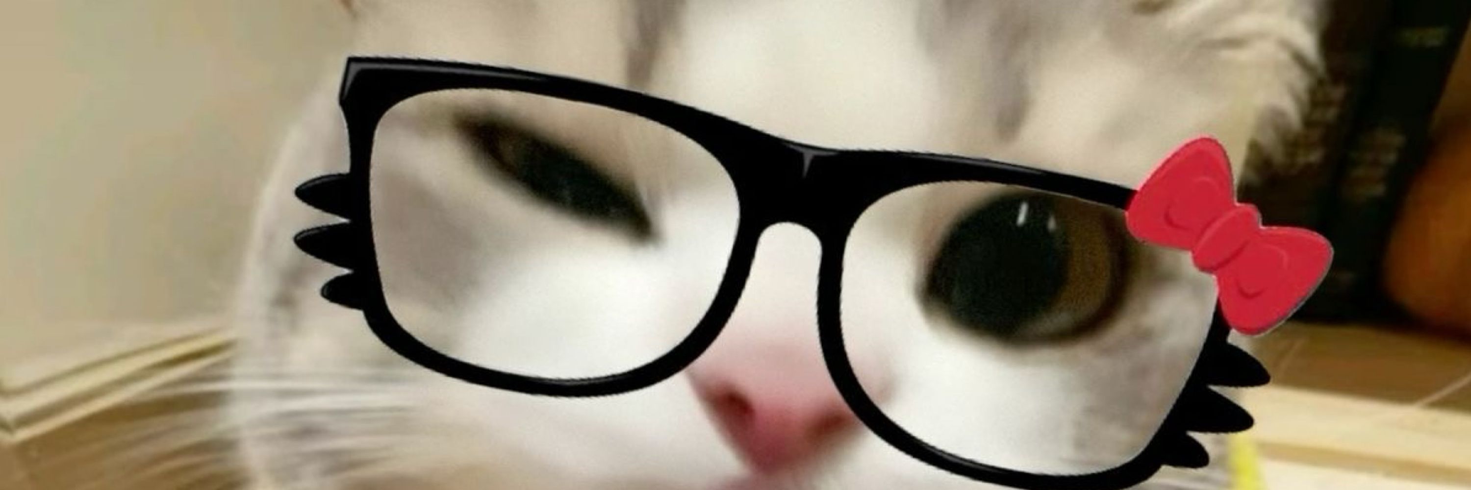 le.gomest