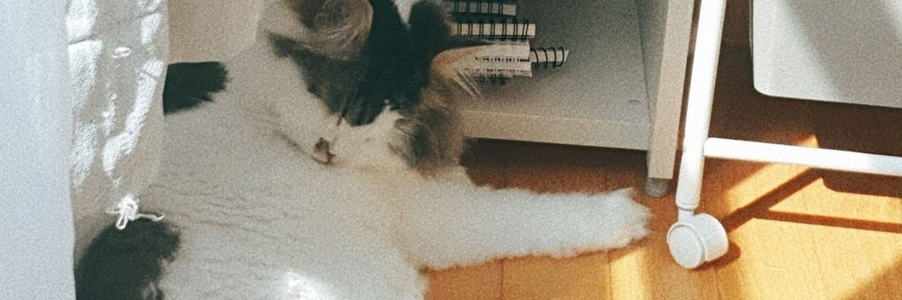 ㅇ