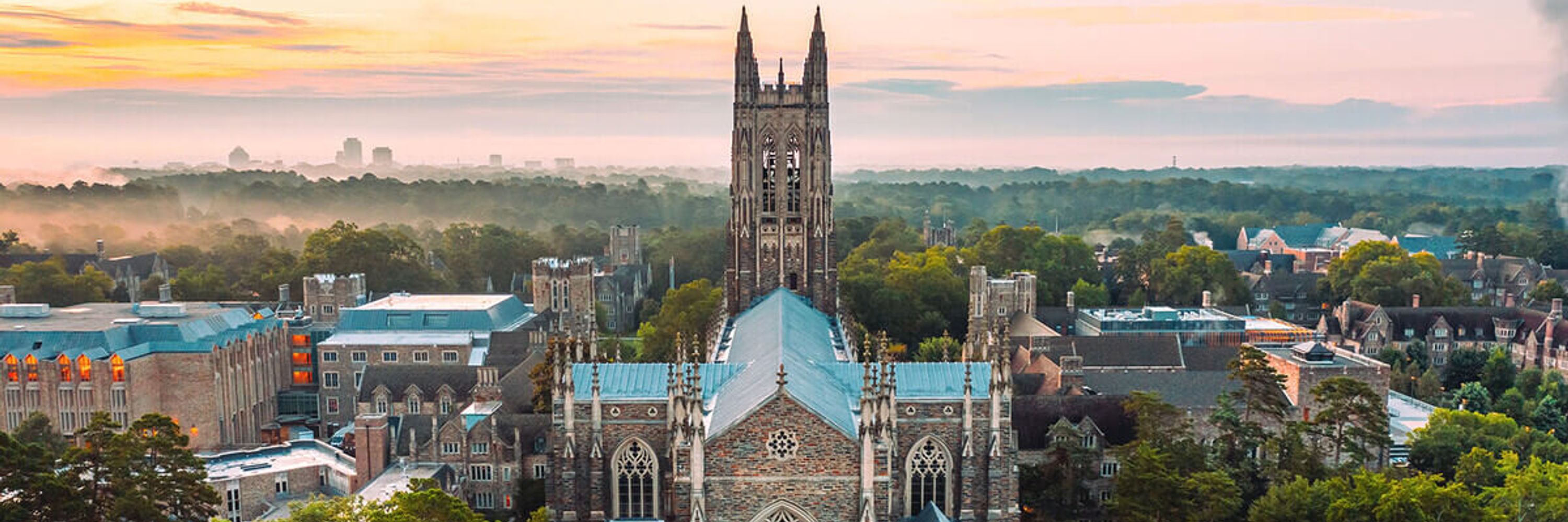 Gustavo Silva lab at Duke