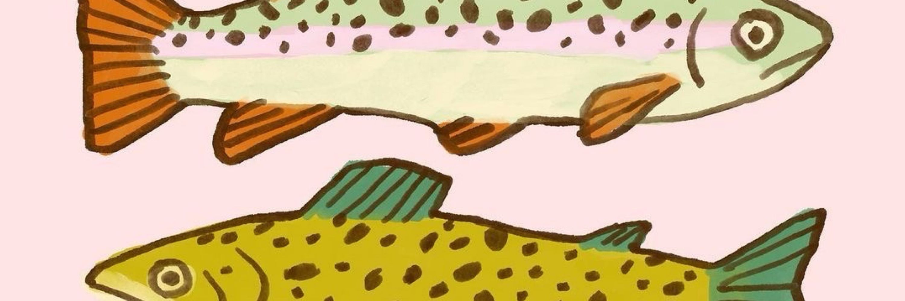 sabi