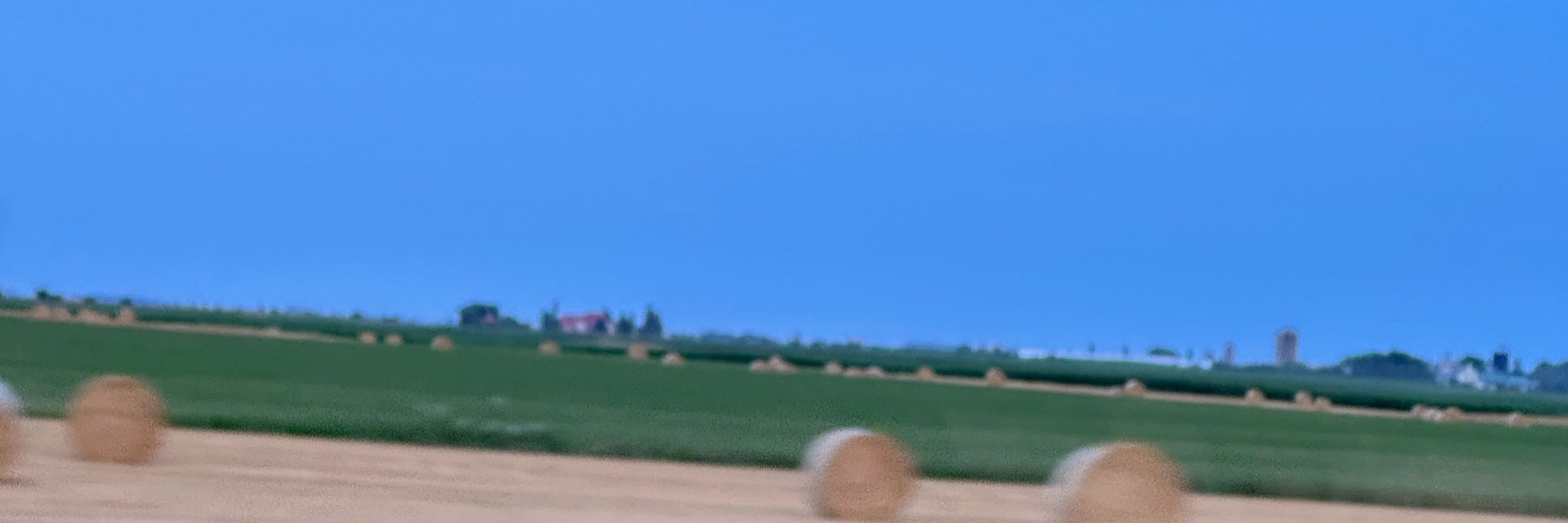 LonelyArk_03