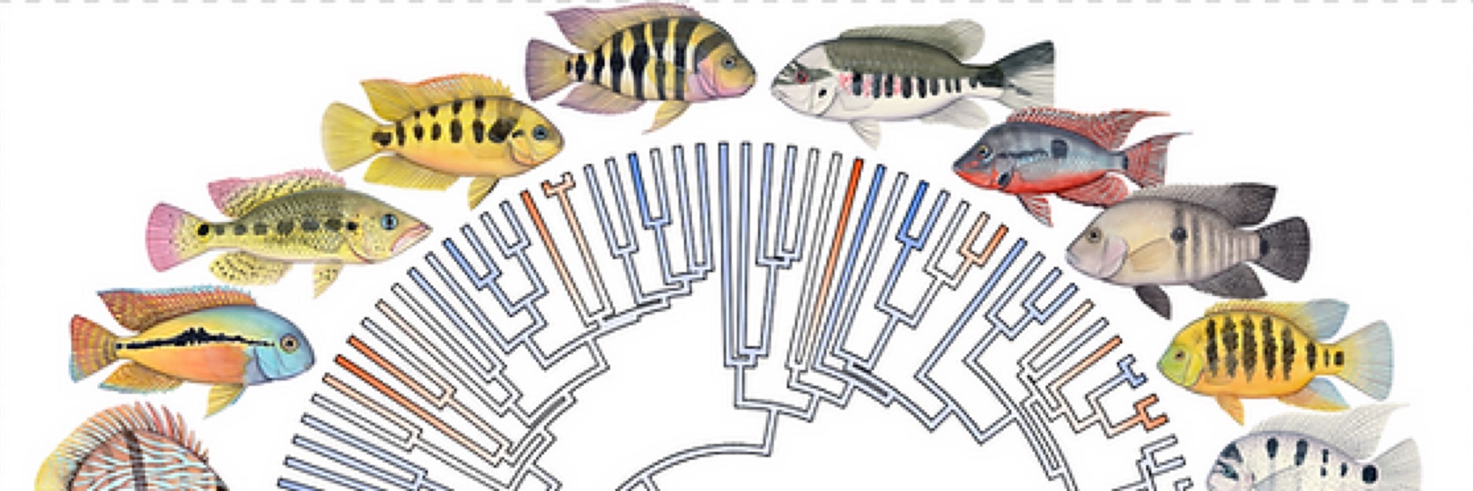 Life Science Studios - Scientific Illustration