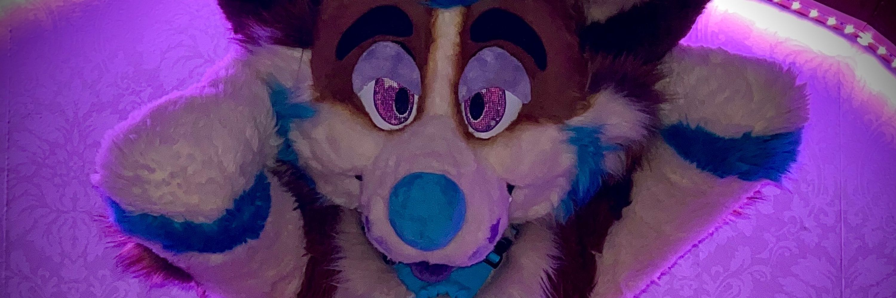 Drooly Corgi~