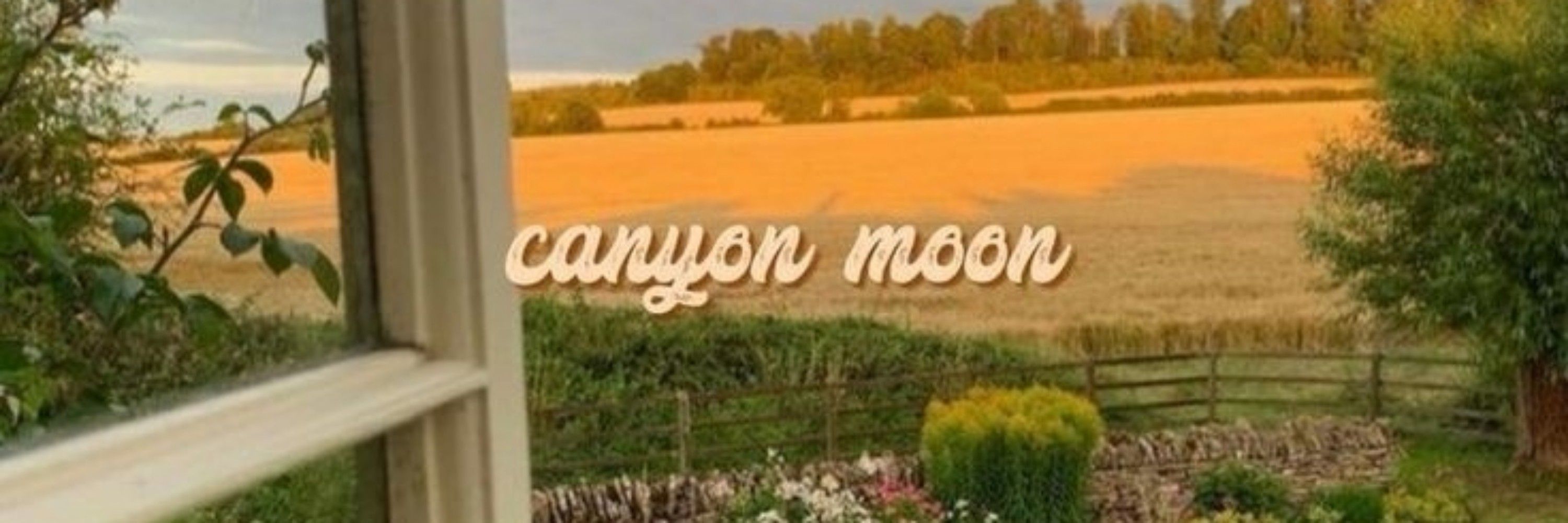 Та сама Фікрайтерка