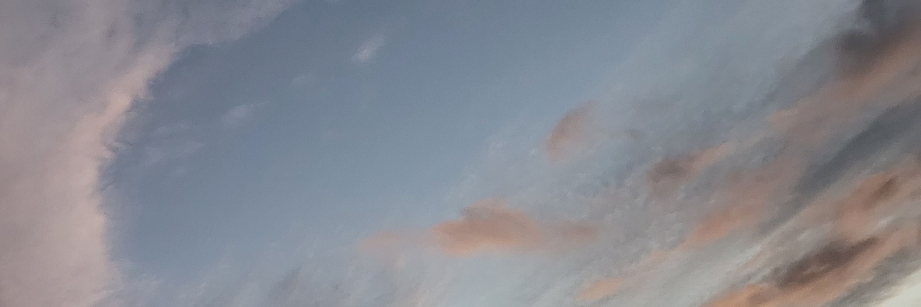 鮭冨波紫