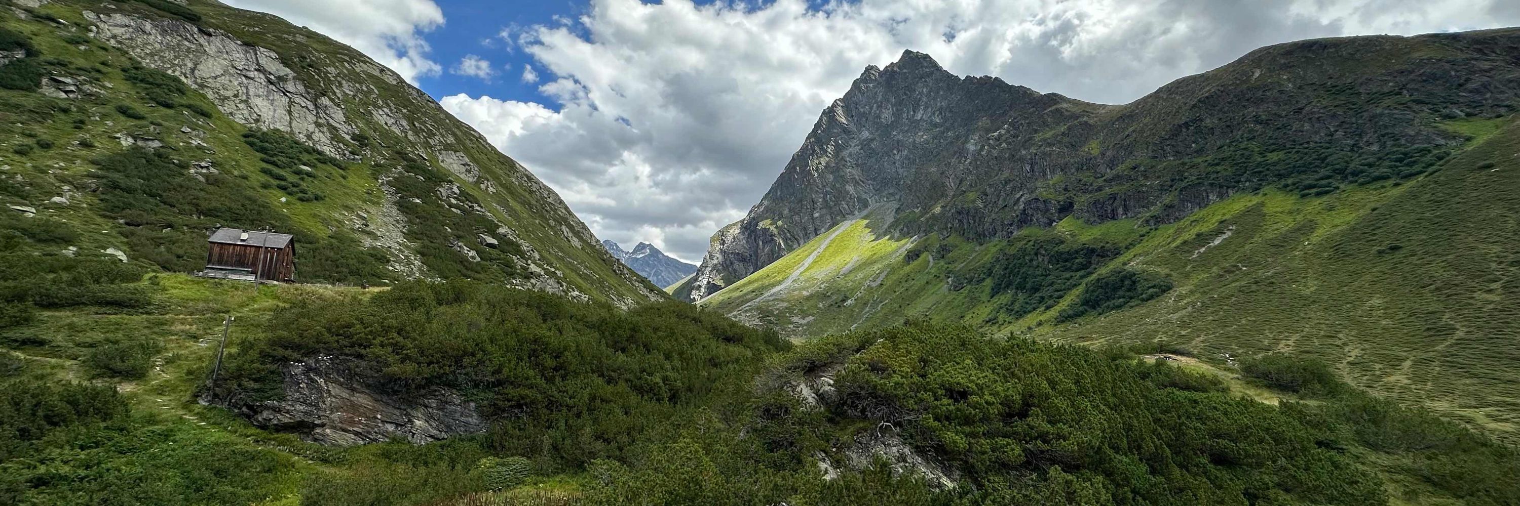 SwissForestLab