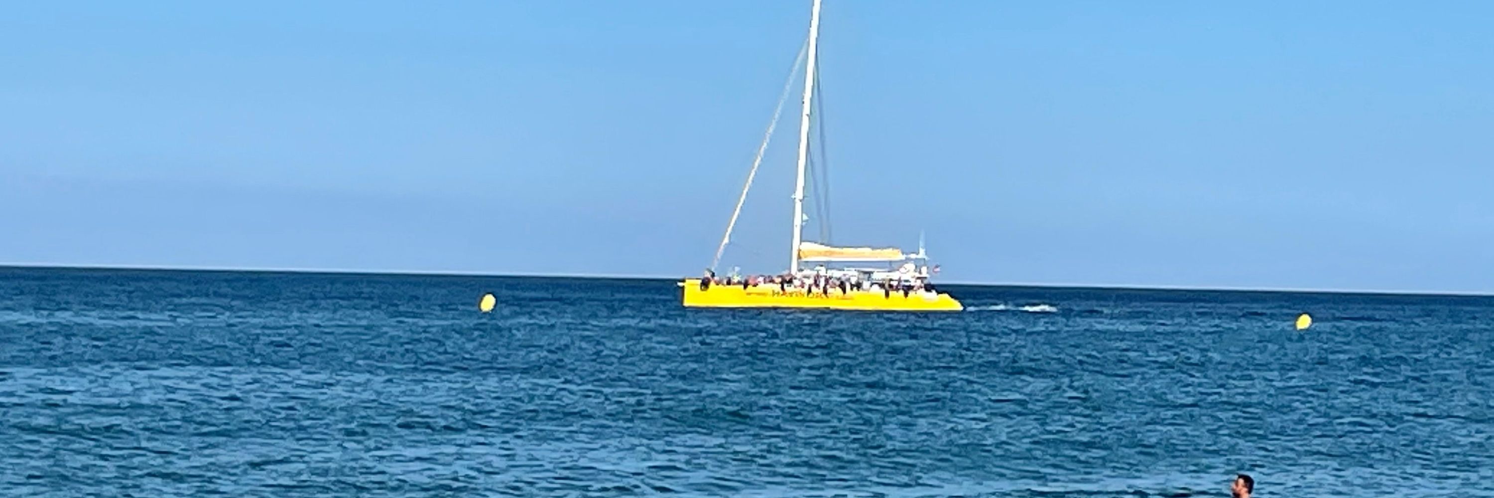 Nucsympa