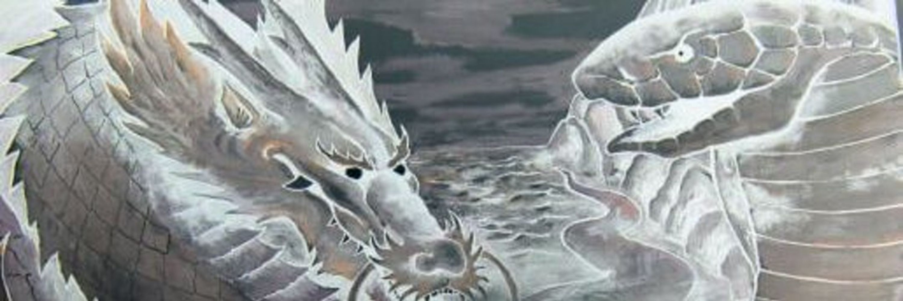 DRAGON&SNAKE